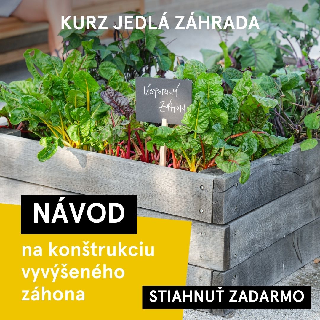 Žijte ve své zahradě - online kurzy ad creative, July 2026