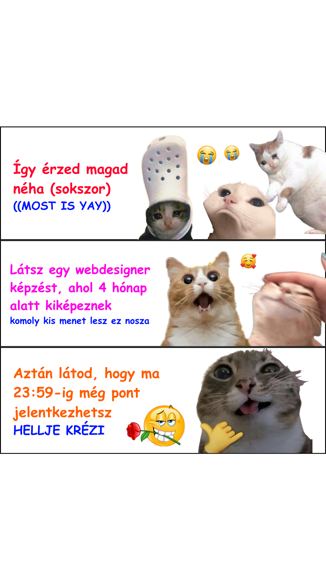 WPKurzus ad creative, July 2026