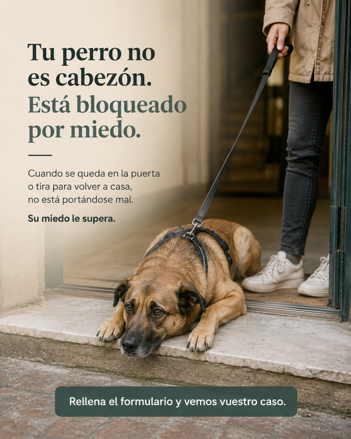 Olfateandoelmundo ad creative, July 2026