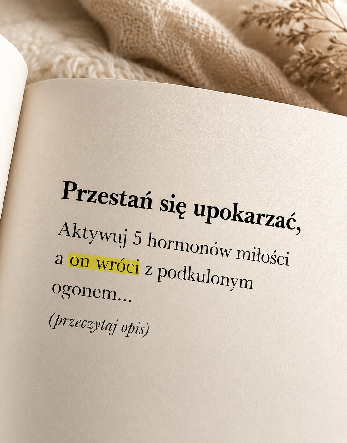 Monika.Wiśniewska ad creative, June 2026