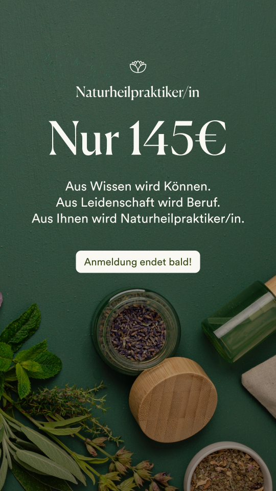 Scholistico Deutsch ad creative, July 2026