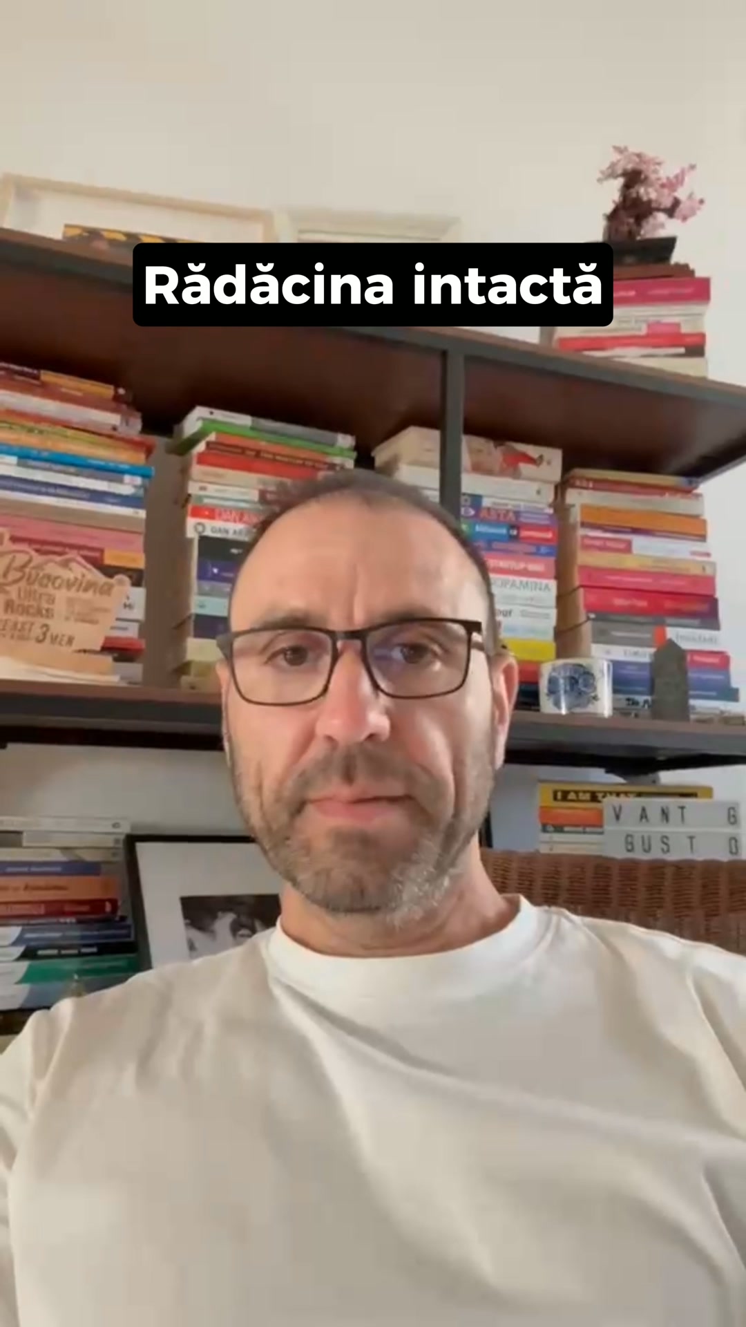Florin Alexandru ad creative, July 2026