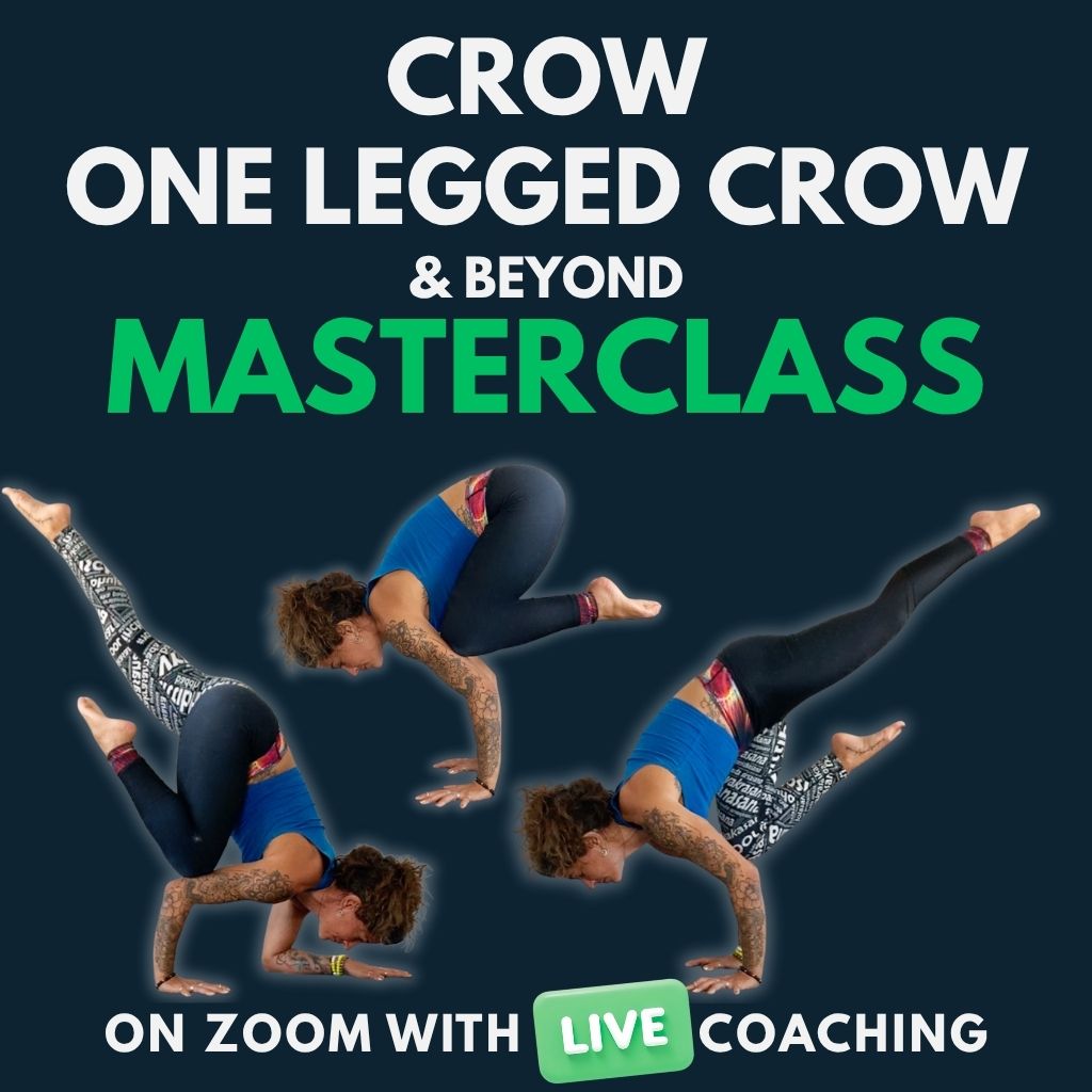 Yogi Flight School ad creative, July 2026