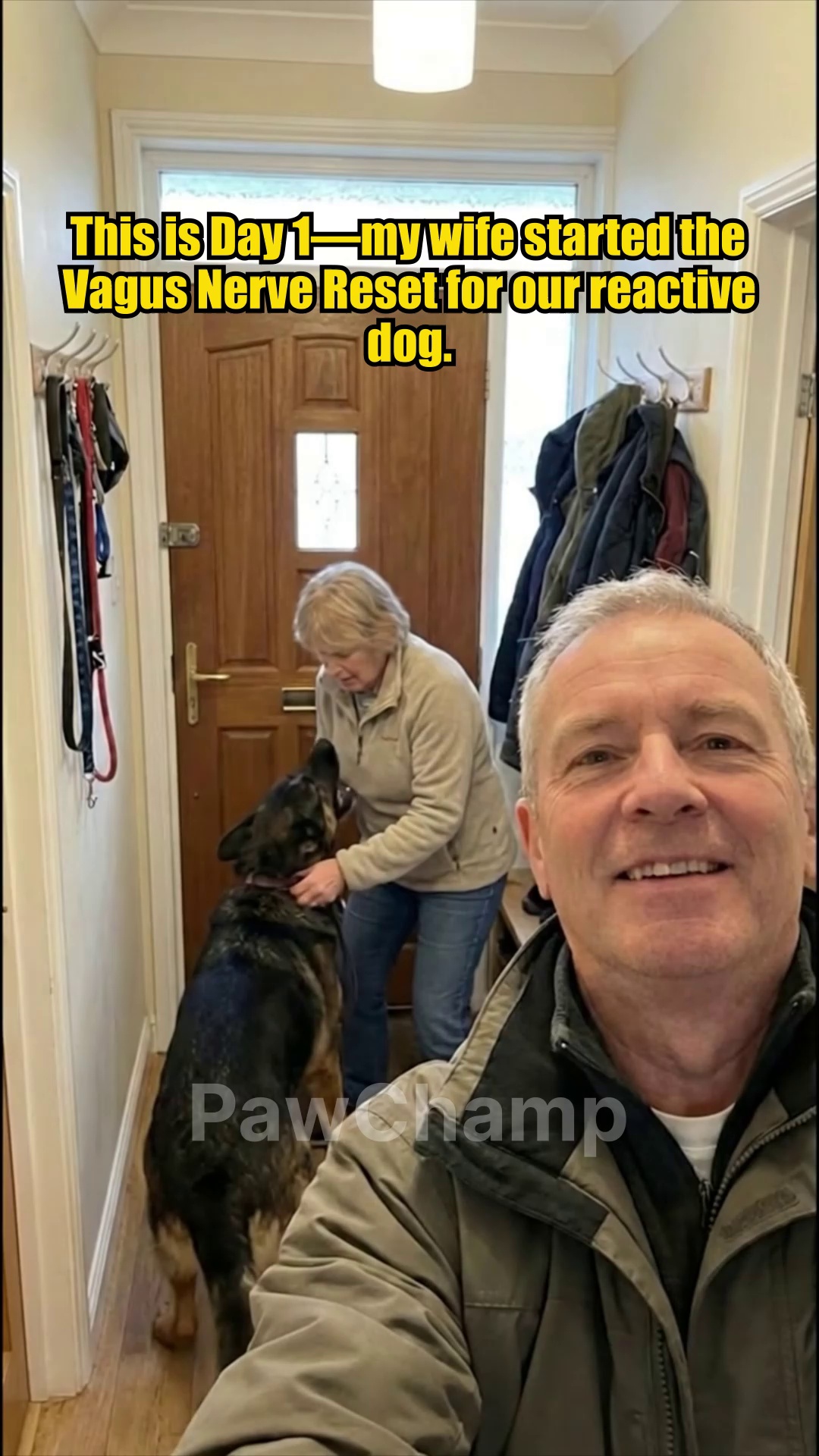 Dog's Vagus Nerve Reset Challenge ad creative, February 2026
