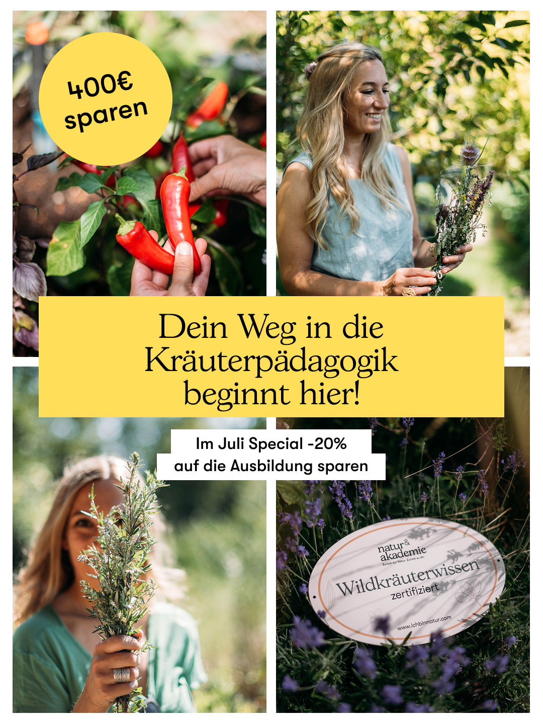 Heilpflanzen & Naturakademie Villa Natura ad creative, July 2026