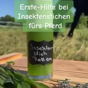 Pferde-Freundschaften ad creative, April 2026