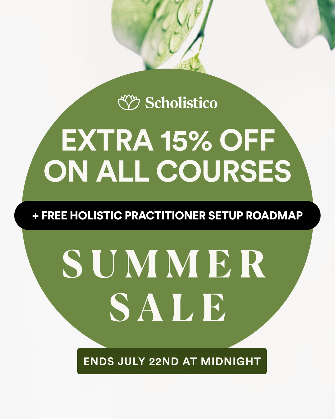 Scholistico ad creative, July 2026