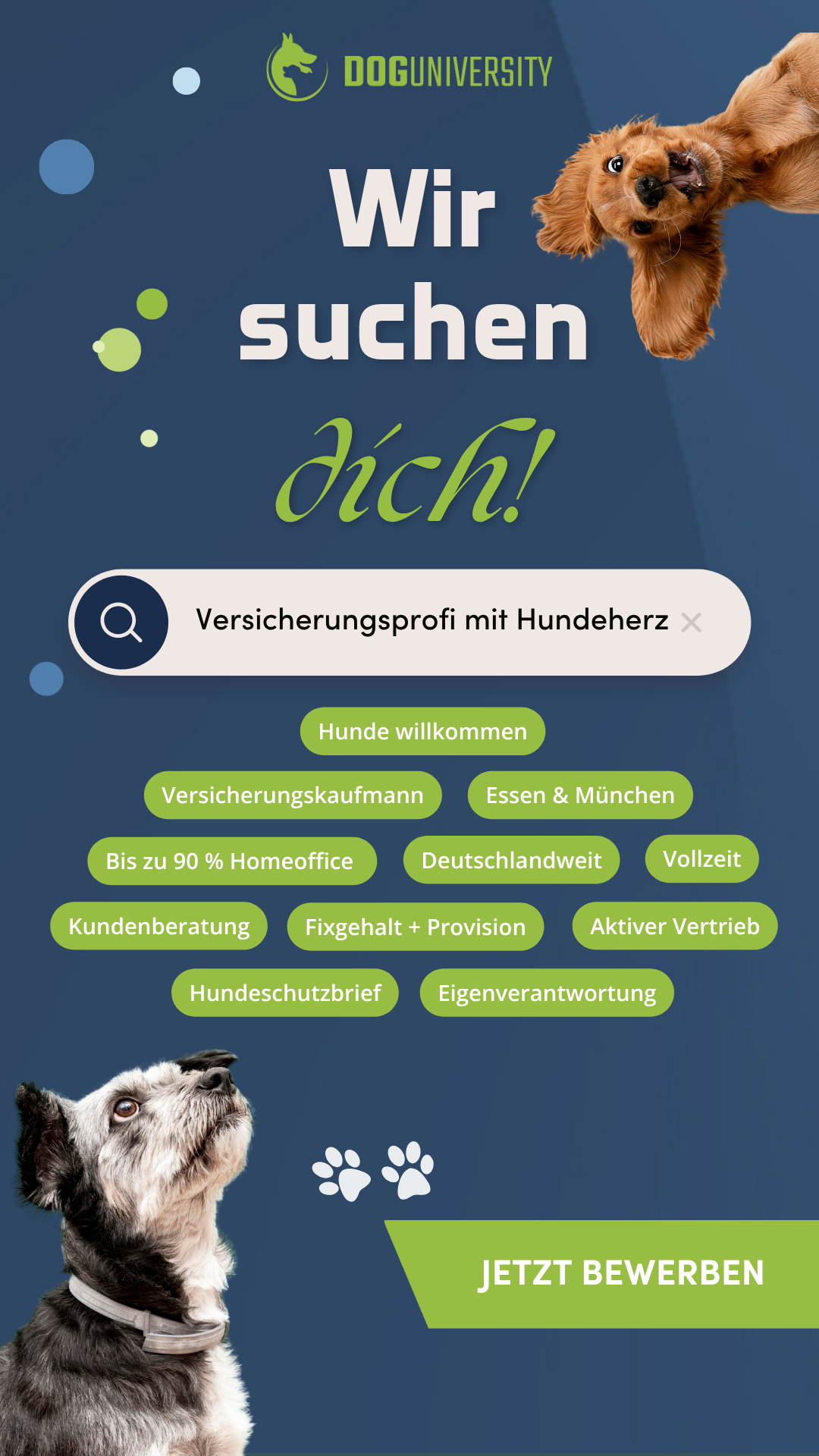 Doguniversity.de ad creative, July 2026