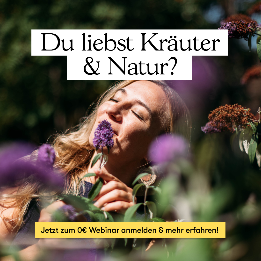 Heilpflanzen & Naturakademie Villa Natura ad creative, July 2026