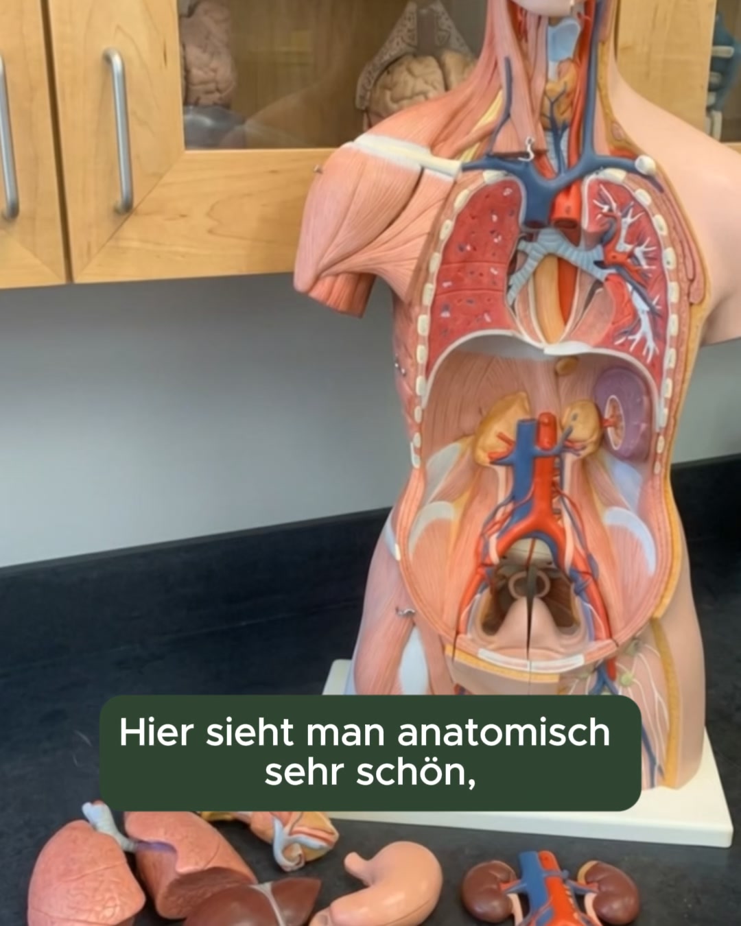 Atlas der Gesundheit ad creative, July 2026