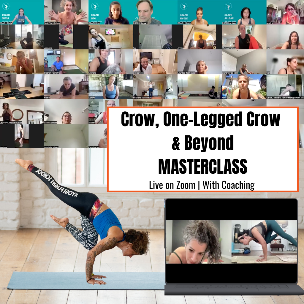 Yogi Flight School ad creative, July 2026