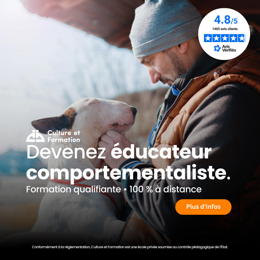 Culture et Formation ad creative, July 2026