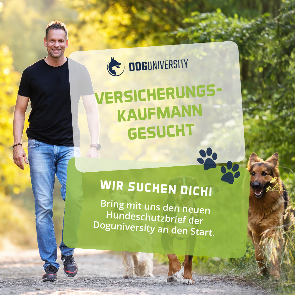 Doguniversity.de ad creative, July 2026