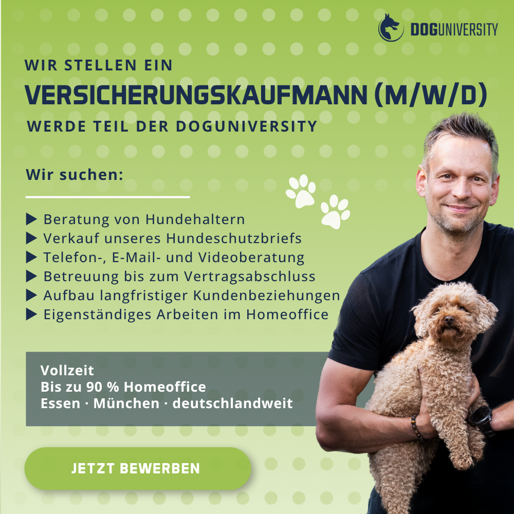 Doguniversity.de ad creative, July 2026