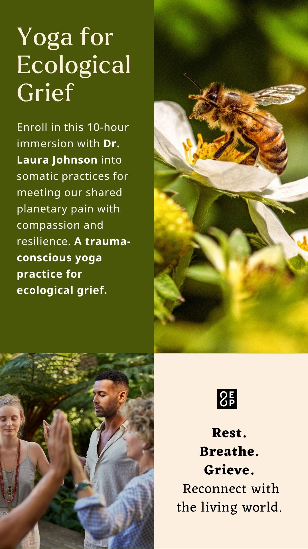 Embodied Philosophy ad creative, July 2026
