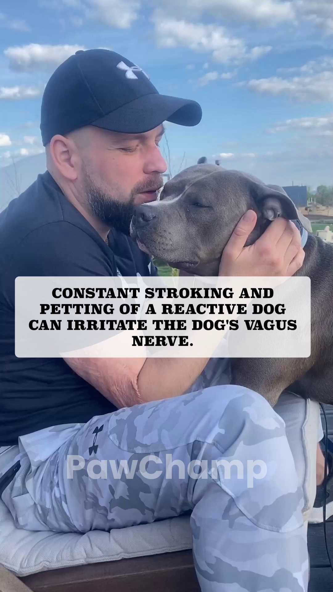 Dog's Vagus Nerve Reset Challenge ad creative, March 2026