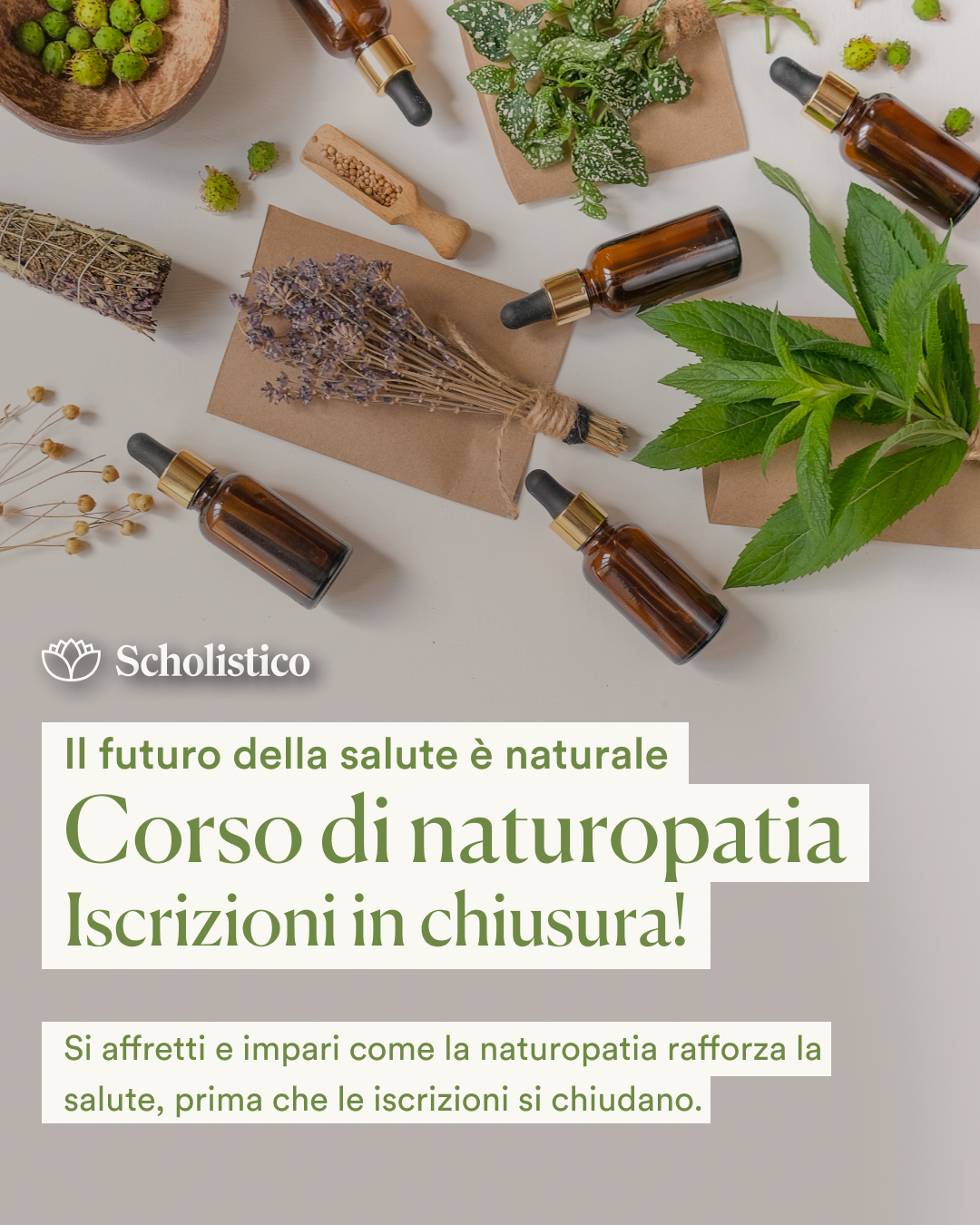 Scholistico Italia ad creative, April 2026