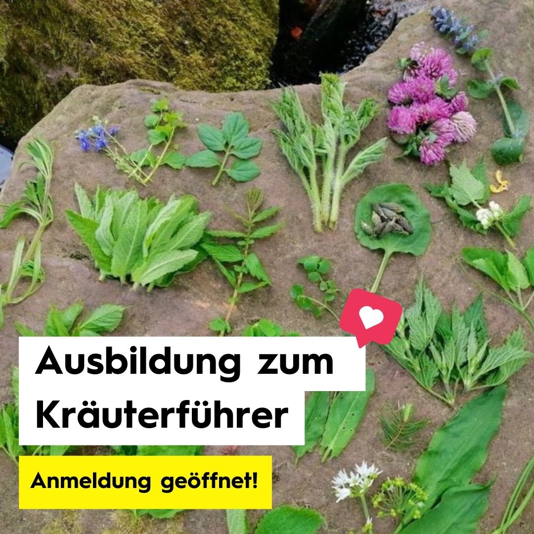 Wildschytz ad creative, April 2026