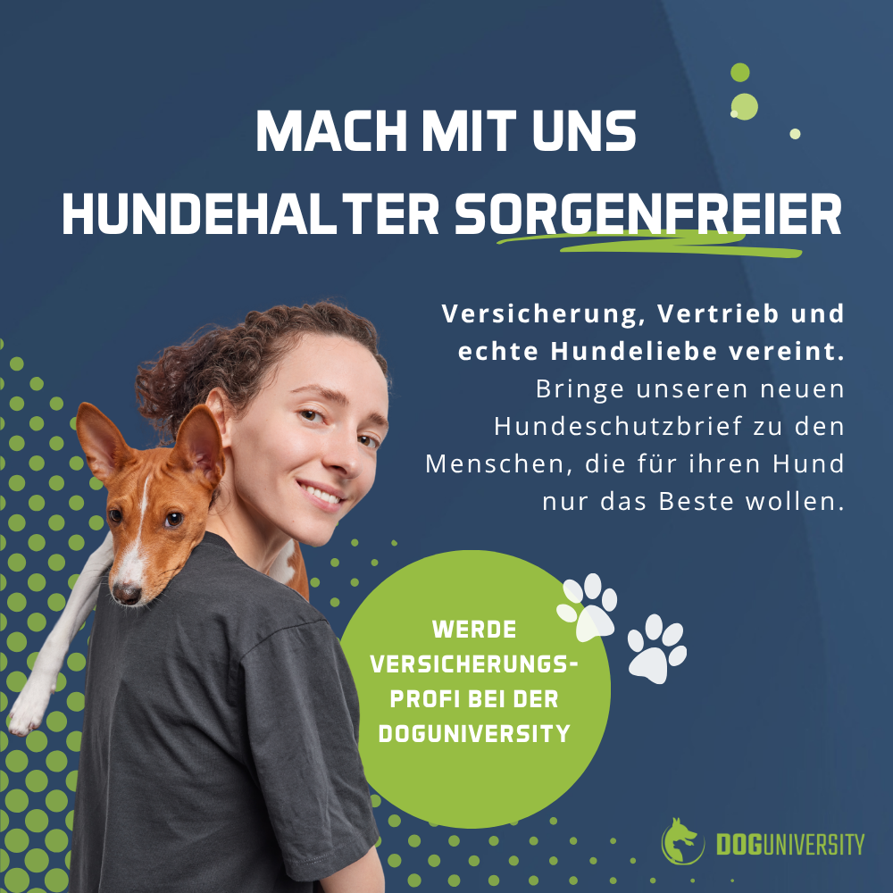 Doguniversity.de ad creative, July 2026