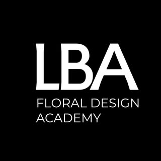 Lacy Bird Academy