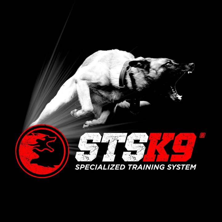 STS K9 - Nino Drowaert
