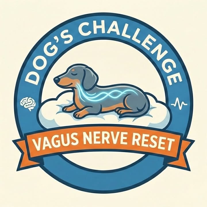 Dog's Vagus Nerve Reset Challenge