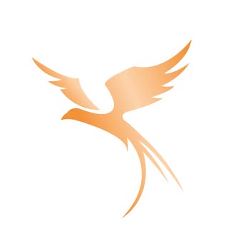 Fenice Academy
