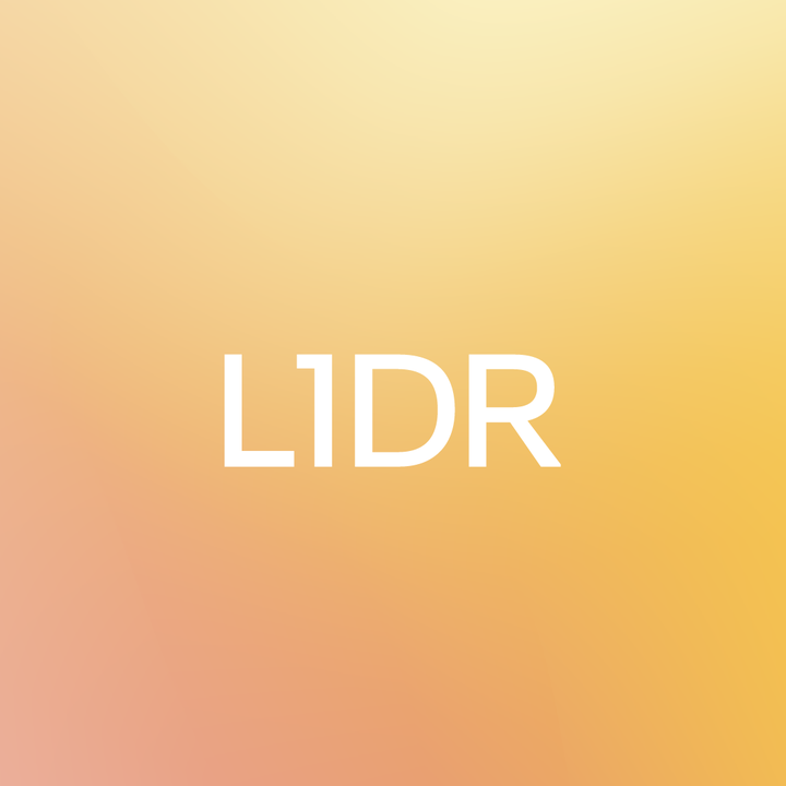 Lidr-ai