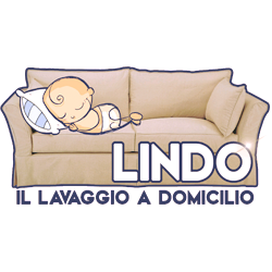 Lindo Pulito - il Lavaggio a Domicilio