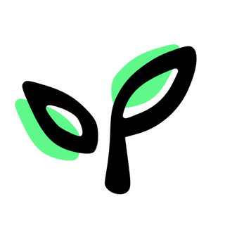 Scalezia.co
